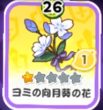 ヨミの向月葵の花